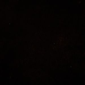 Meet your Posher, Leonard